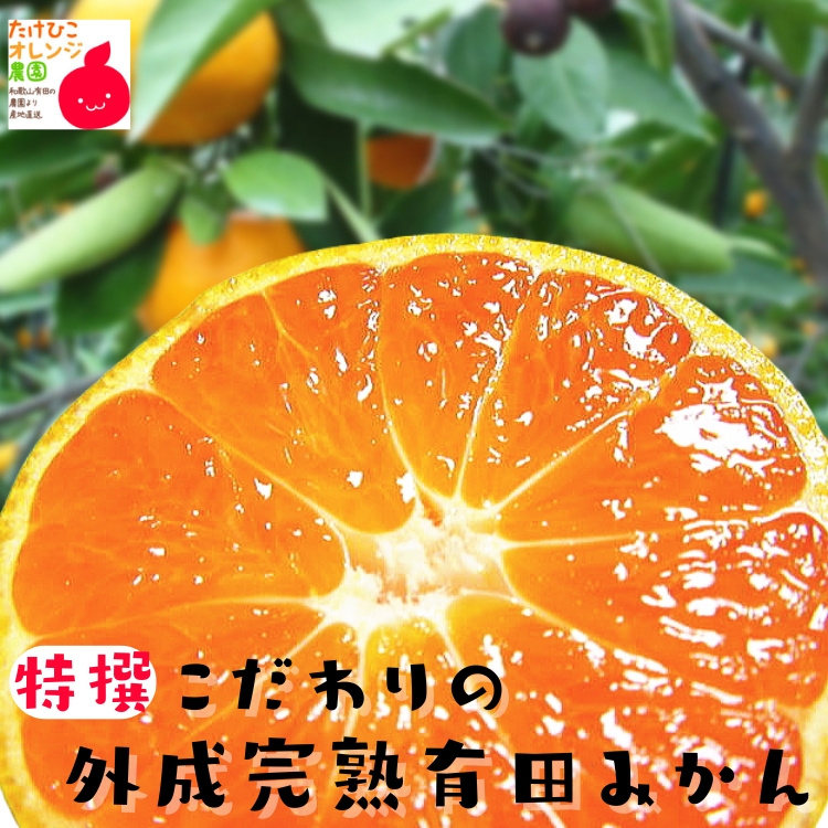 特撰　外成完熟有田みかん