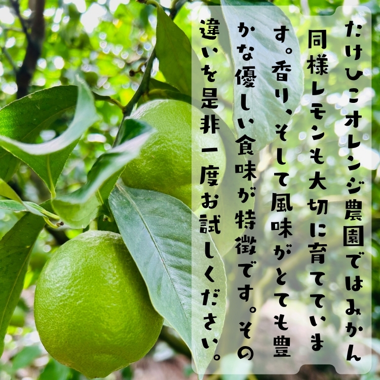 たけひこレモン