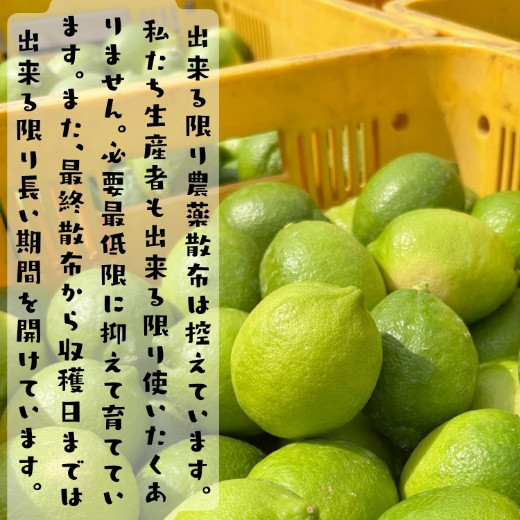 グリーンレモン