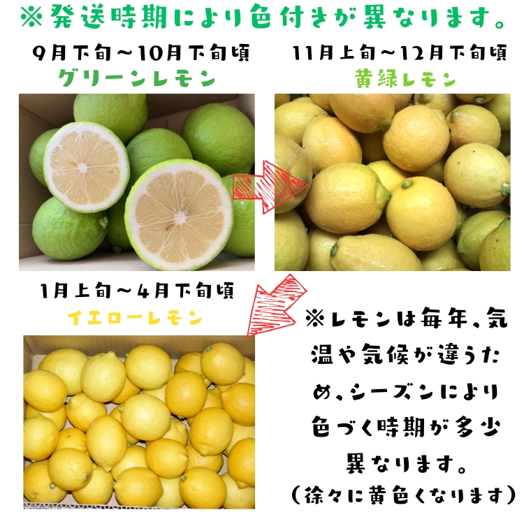 ≪送料無料≫国産レモンが1，680円！！香り＆酸味バツグンたけひこ
