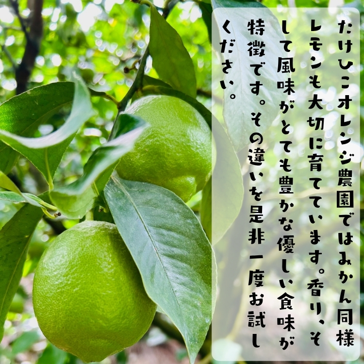 たけひこレモン