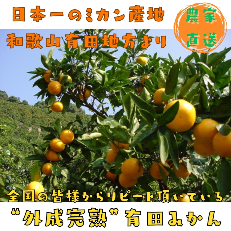 みかん名産地紀州和歌山有田より農家直送！