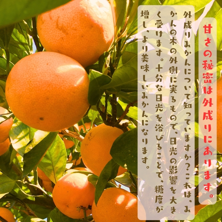 美味しさの秘密は外成り