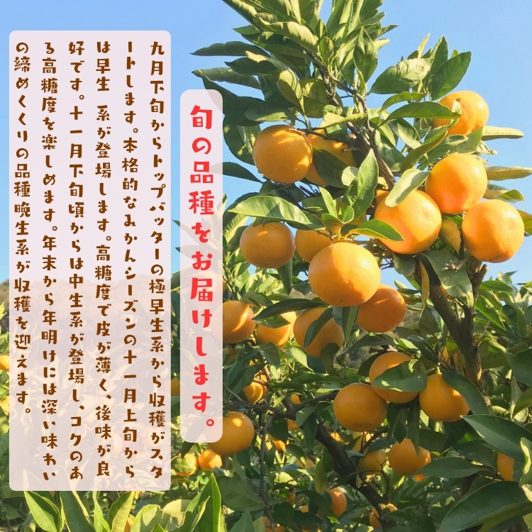 旬の品種をお届けします。