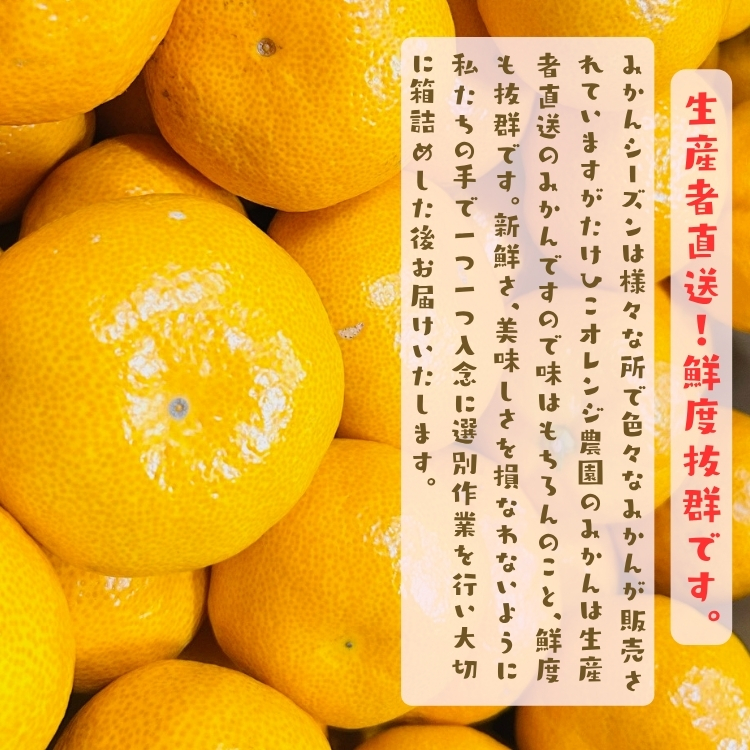 生産者直送でお届けします。