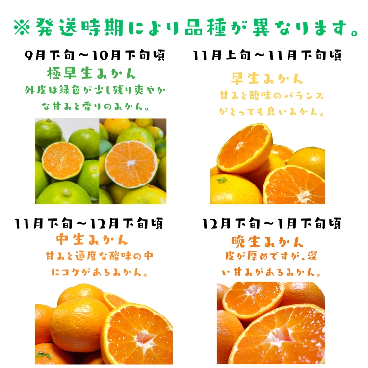 時期により色付きが異なります。
