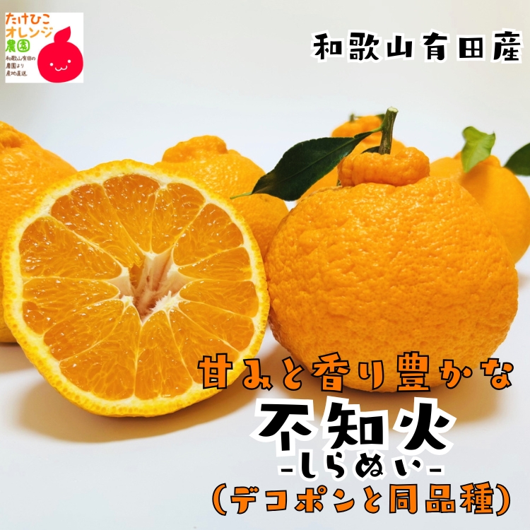 デコポンと同品種の濃厚不知火