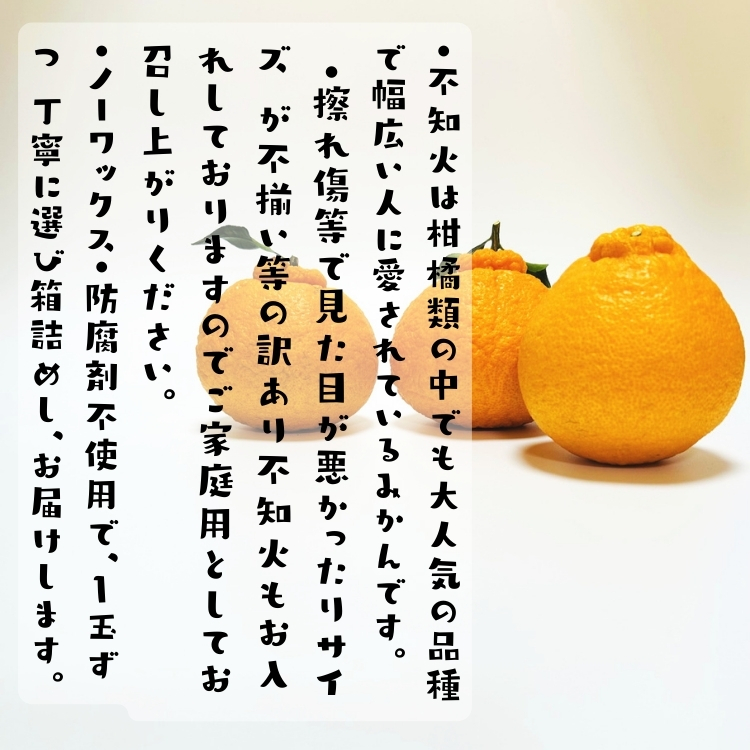 不知火(しらぬい)(デコポンと同品種)