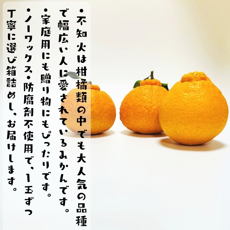 不知火(しらぬい)(デコポンと同品種)