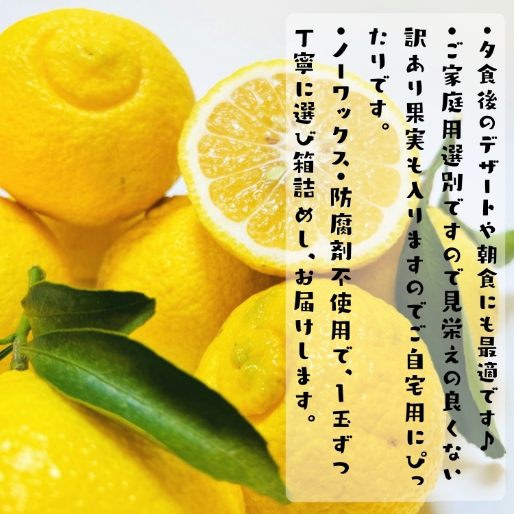 はるかみかん産地直送販売所 はるか