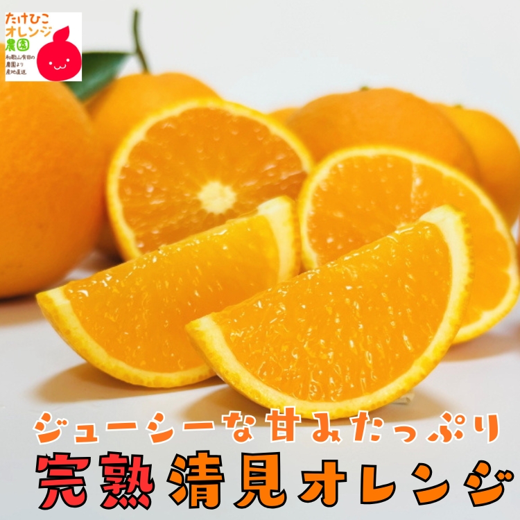 甘みたっぷり清見オレンジ