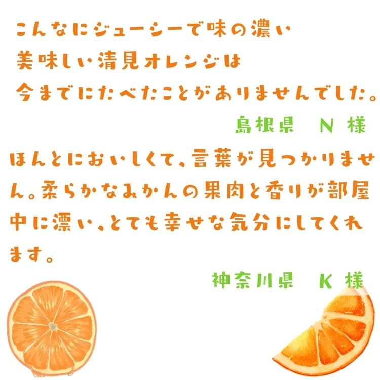 訳ありオレンジ