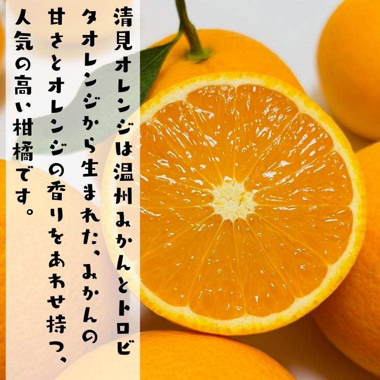 わけあり清見オレンジ