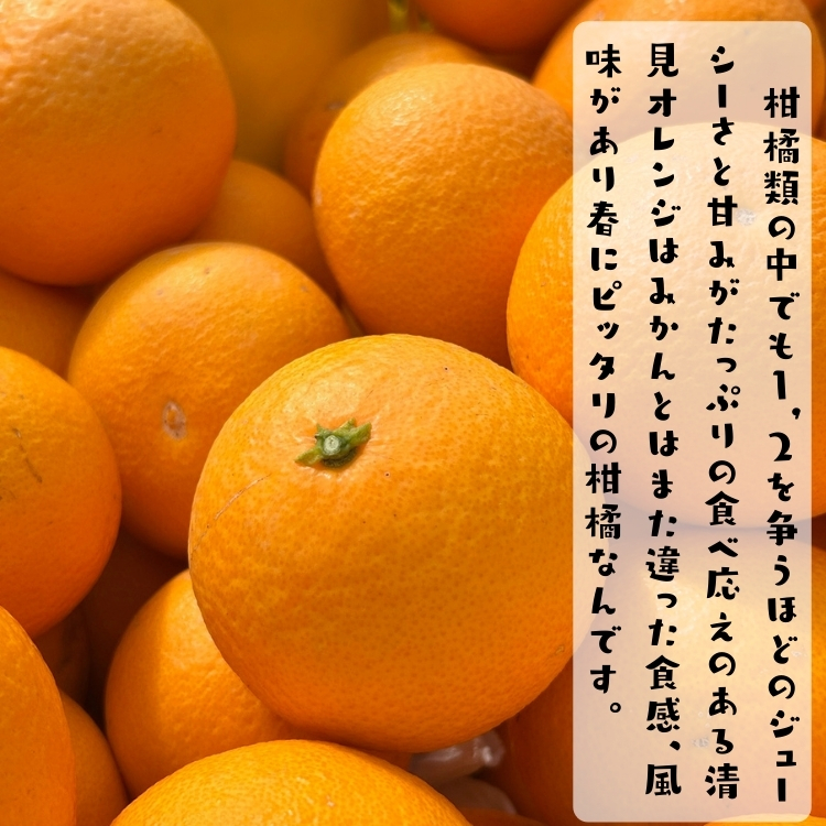 訳あり清見オレンジ