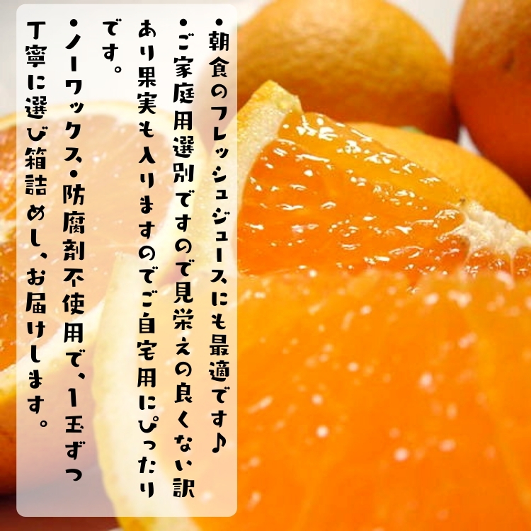 訳あり清見オレンジ