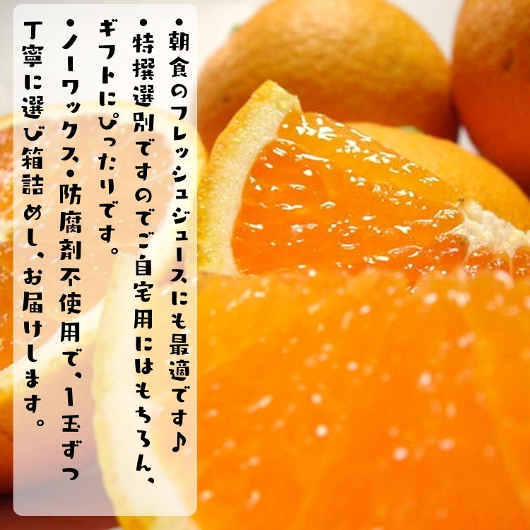 特撰清見オレンジ