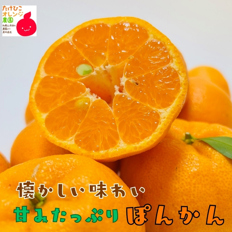 ポンカン産地直送販売所 ご家庭用わけありポンカン 10kg《送料無料