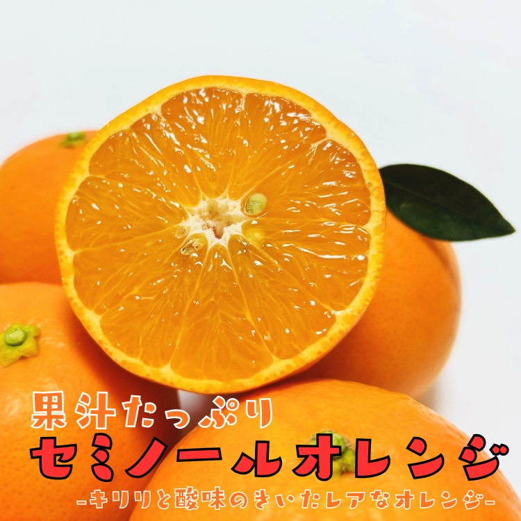 セミノールオレンジ