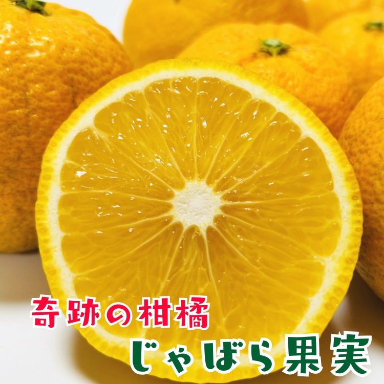 奇跡の柑橘 じゃばら