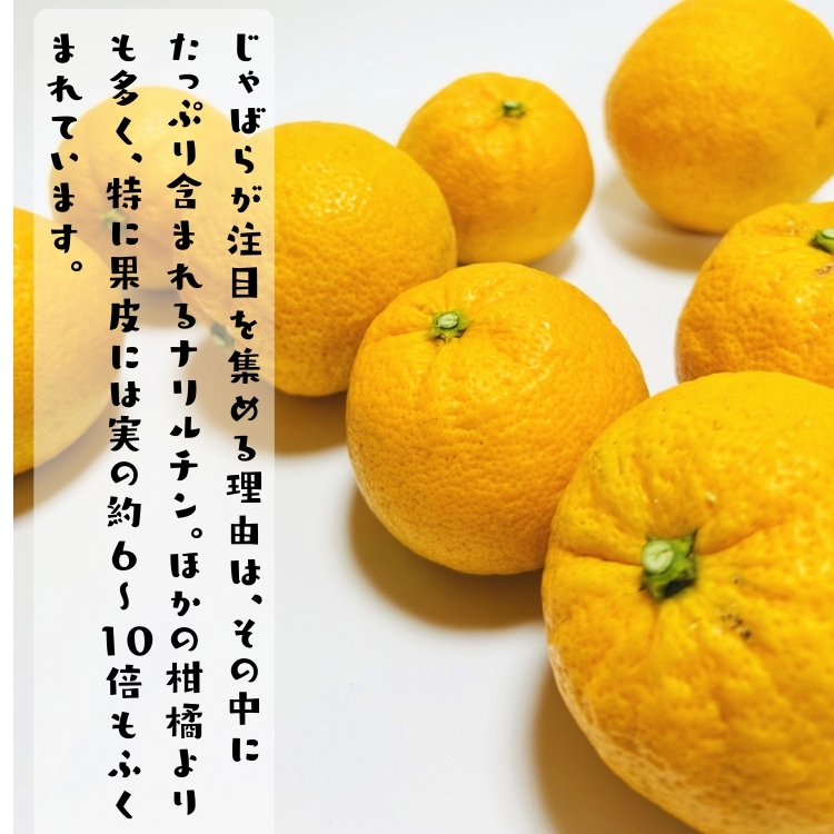 奇跡の柑橘 ジャバラ果実