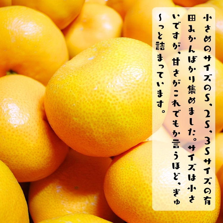 完熟 プチオレンジ 小粒 有田みかん