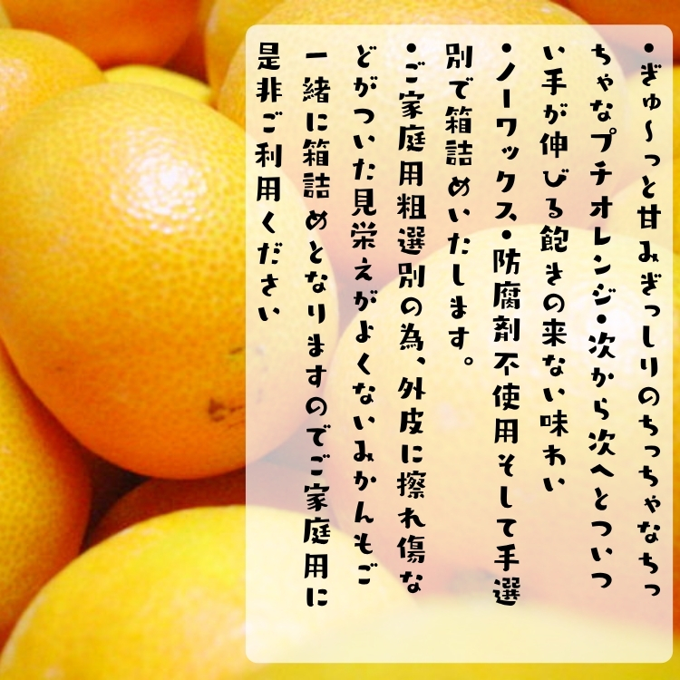 完熟 プチオレンジ 小粒 有田みかん