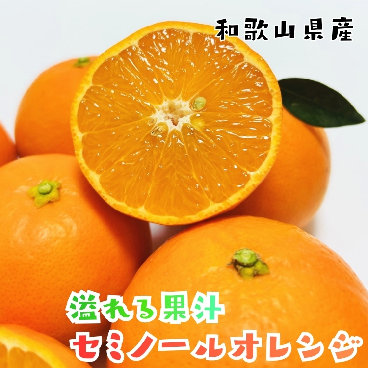 ご家庭用セミノールオレンジ