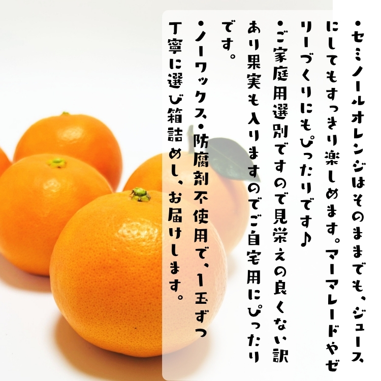 ご家庭用セミノールオレンジ