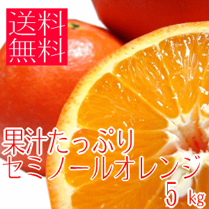 セミノールオレンジ(送料無料)