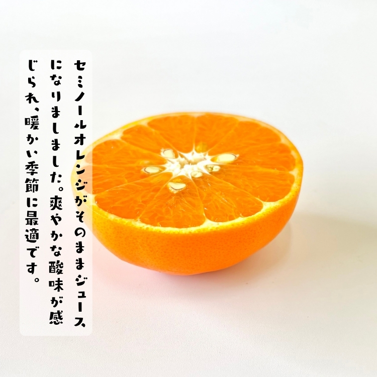 セミノールオレンジ 無添加ストレートジュース