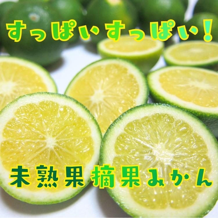 酸っぱい酸っぱい摘果みかん