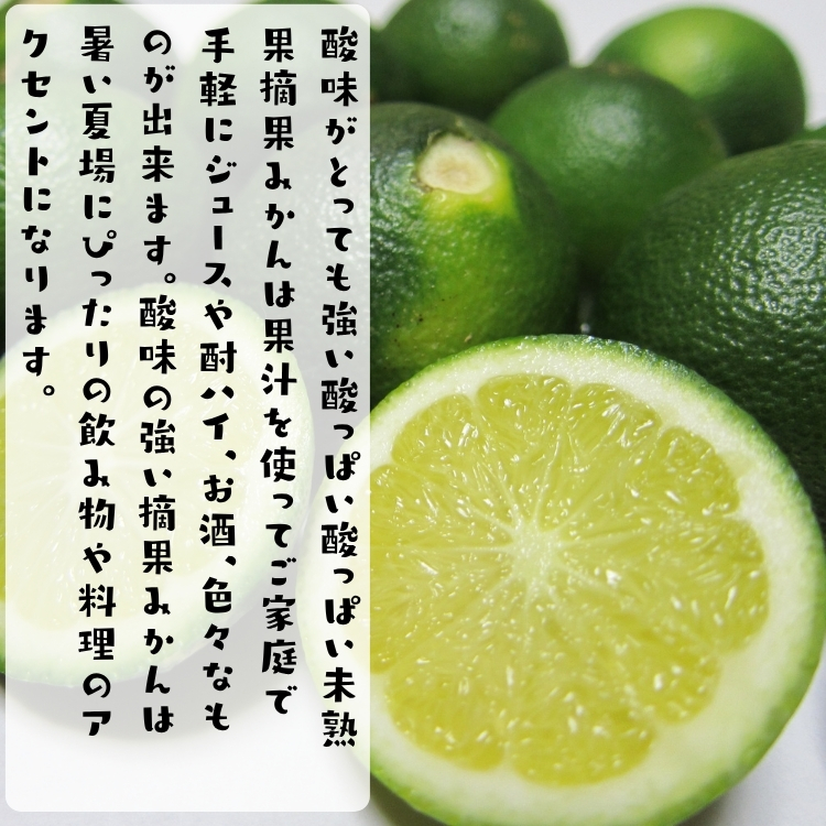 わけあり 未熟果 摘果みかん