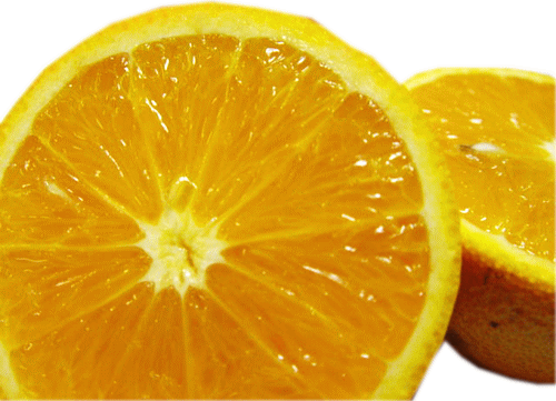 国産バレンシアオレンジ