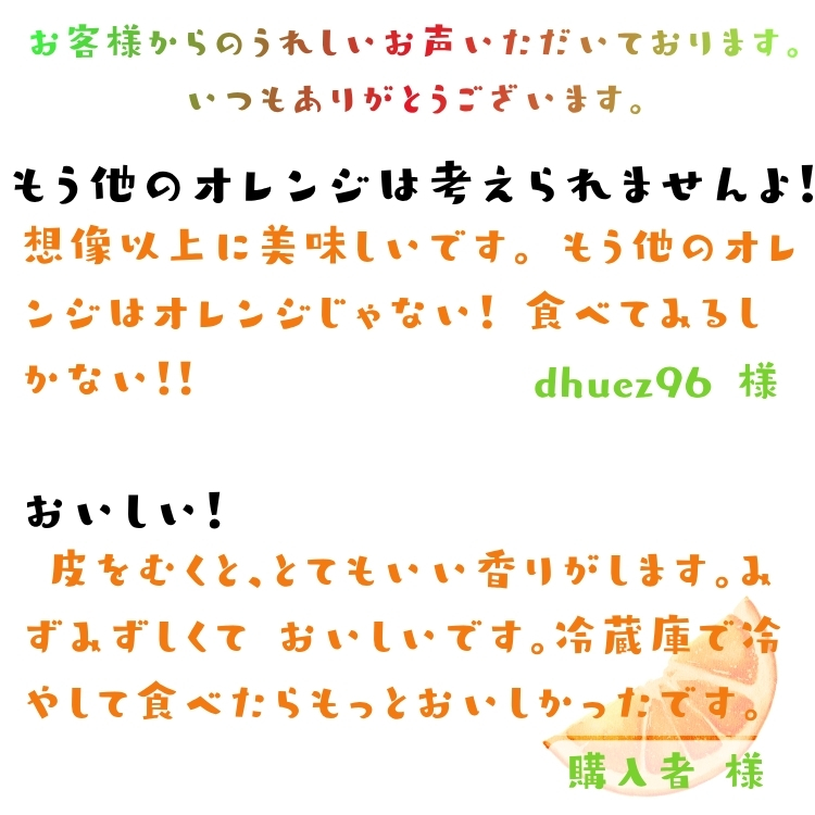 特撰 バレンシア オレンジ