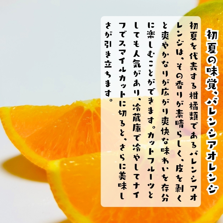 特撰 バレンシア オレンジ