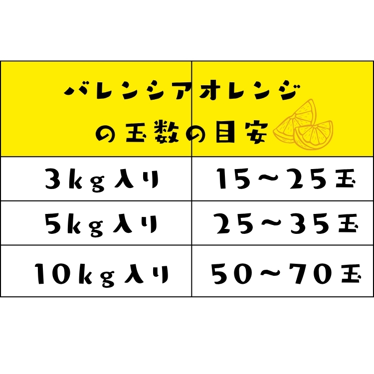 特撰 バレンシア オレンジ