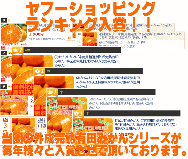 ヤフーショッピングランキング入賞！