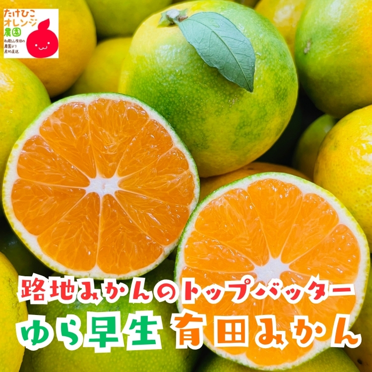 訳ありゆら早生有田みかん