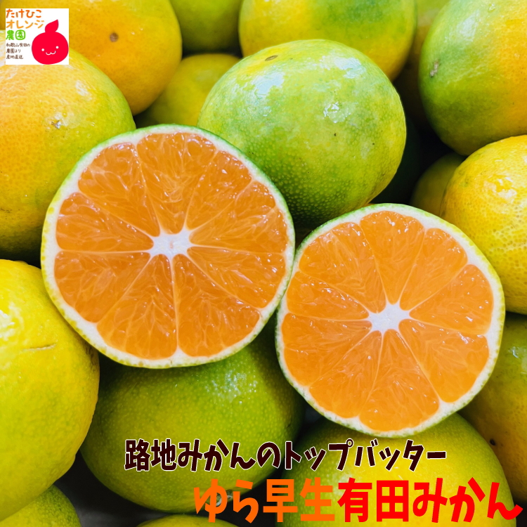 ゆら早生有田みかん