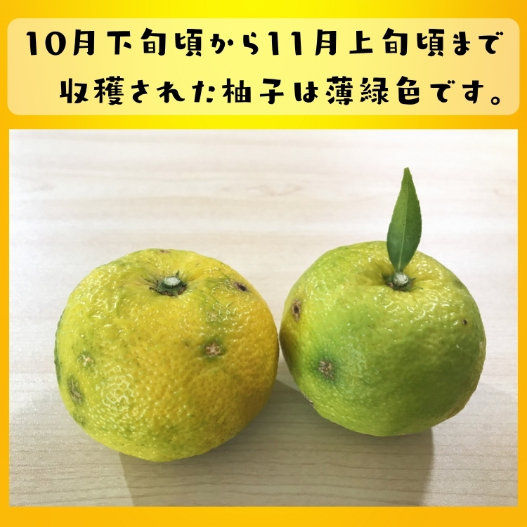 ゆず 訳あり ユズ ご家庭用粗選別 爽やか 柚子 ( ) 2kg_ わけあり