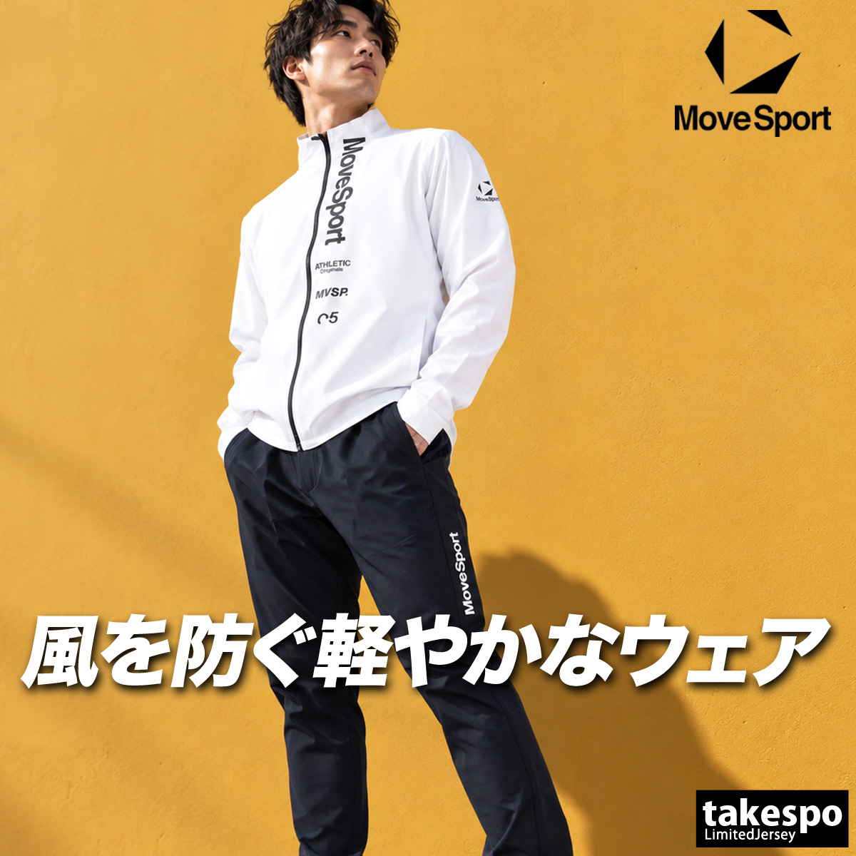 【美品】DESCENTE Move Sport 薄手 ジャージ上下セット L MOVESPORT ムーブスポーツ 薄手 ジャージ 上下 メンズ デサント