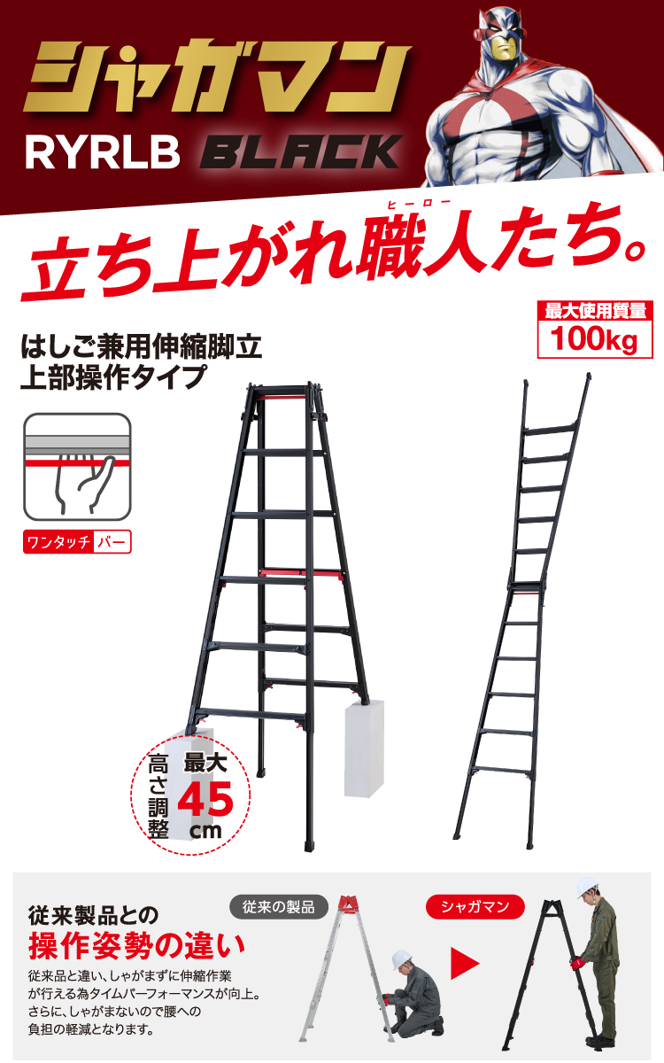 犬幹事長　ルスティック4脚 l_is202501030Lynx01.jpg