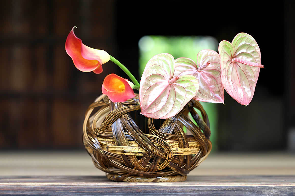 大きな竹花器 花材：たけのこ 花なす 大山蓮華 花器：武村和紀作「四角蟲