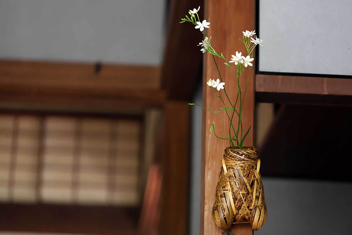 虎竹掛け花籠 蝉 : 虎斑竹専門店 竹虎 - 通販 - Yahoo!ショッピング