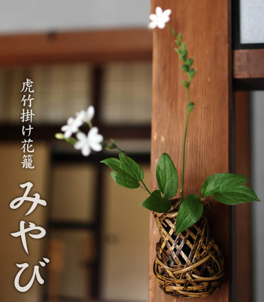 【希少価値！】虎斑竹の花籠 生花用　置物 専用の花瓶剣山付き 専用箱なし 虎竹掛け花籠 みやび : 虎斑竹専門店 竹虎 - 通販 - Yahoo!ショッピング