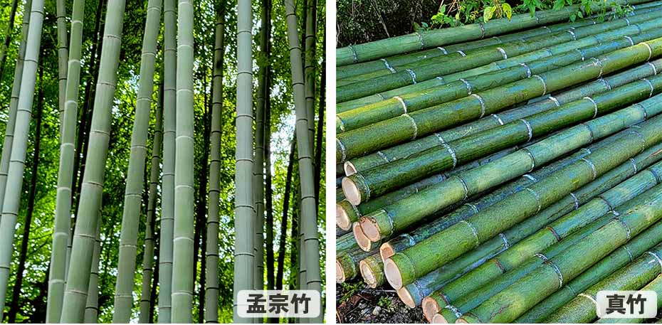 日本文化と暮らしに息づく竹～竹の無限の可能性～Bamboo in Japanese Culture & Lifestyle｜虎斑竹専門店 竹虎