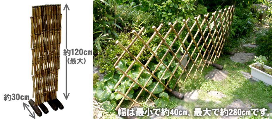 竹垣と生垣 6747917fce16b296e04ae683259979