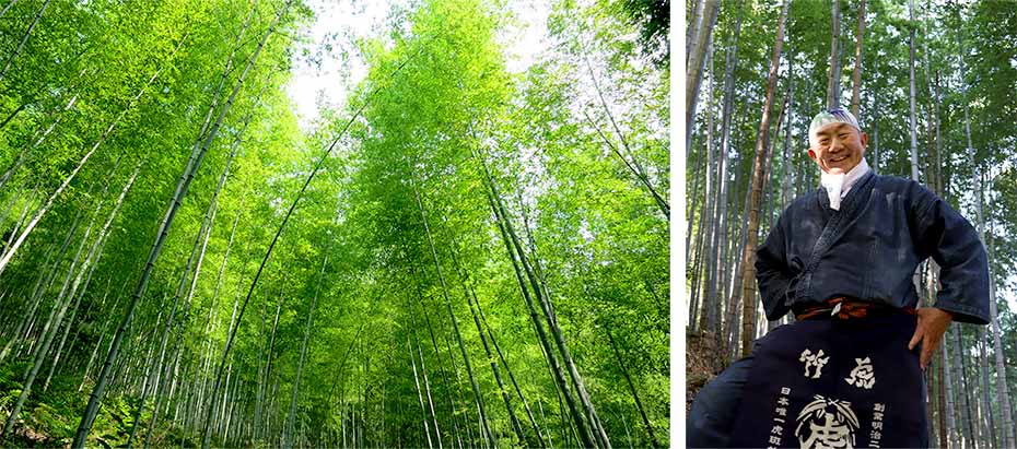 虎竹の竹林と四代目