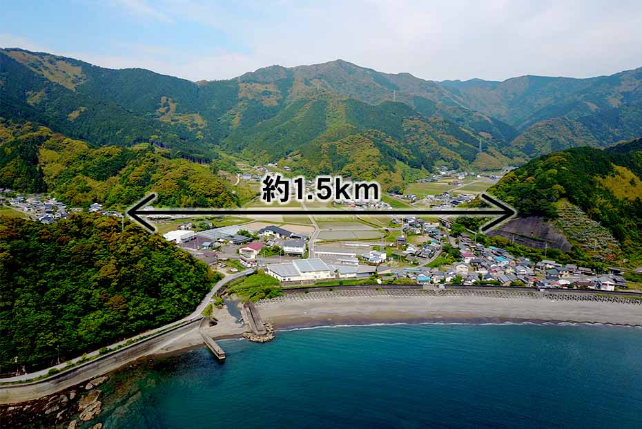 虎竹の里の間口1.5km