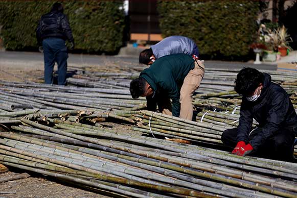 Selecting and sorting bamboo